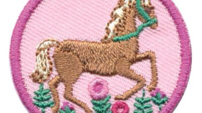 Girl Scout Horseback Riding Badge